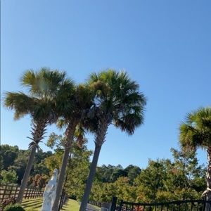 Meet your Posher, Diego